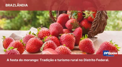 Ponto nº Brazlândia e a festa do morango: tradição e turismo rural no Distrito Federal